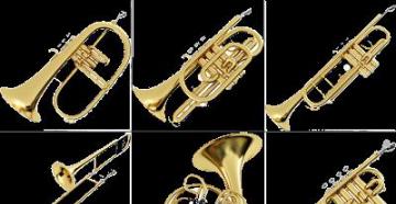 Труба — музыкальный инструмент — история, фото, видео